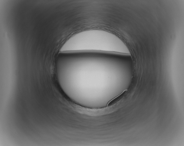 X0000110980039200906191059