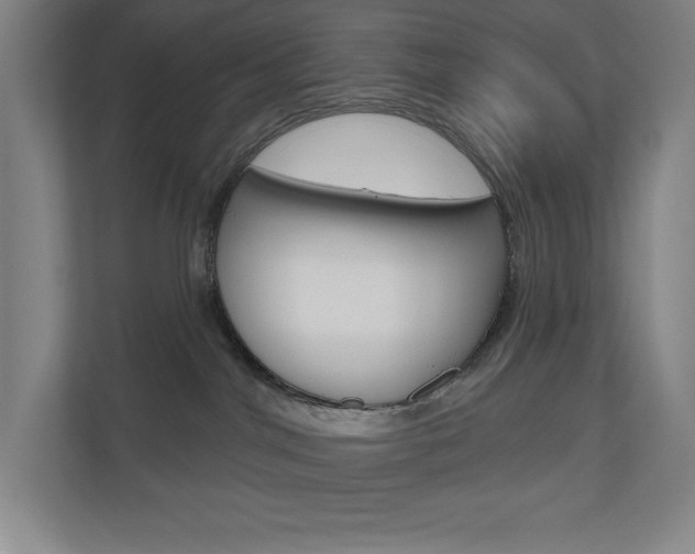 X0000110980044200906191059