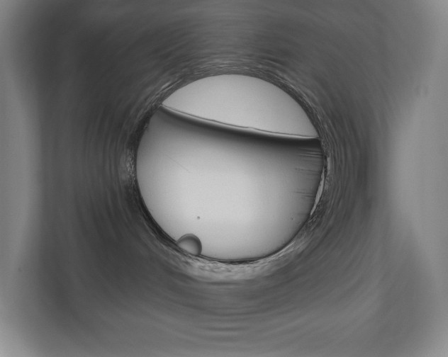 X0000110980048200906191059