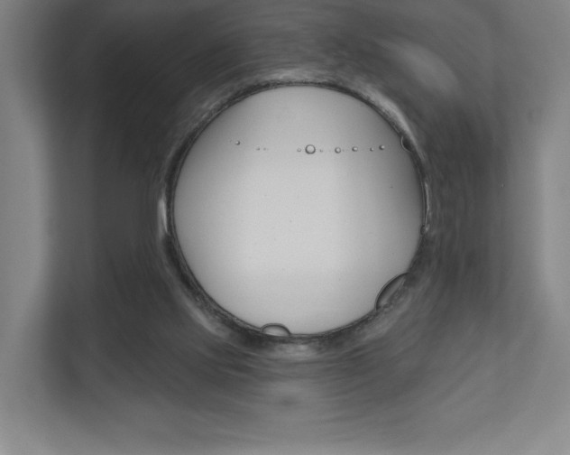 X0000110980061200906191058