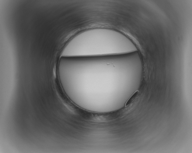 X0000110980062200906191058