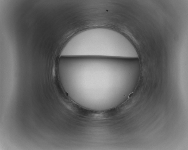 X0000110980068200906191058