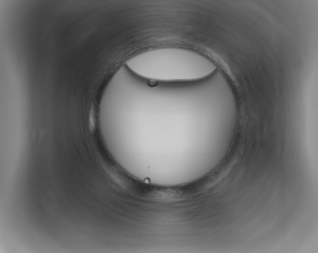 X0000110980069200906191058