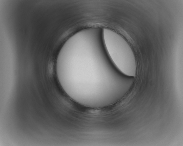 X0000110980071200906191058