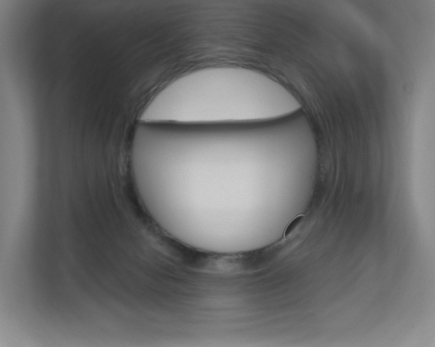 X0000110980078200906191059