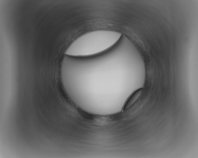 X0000110980079200906191059