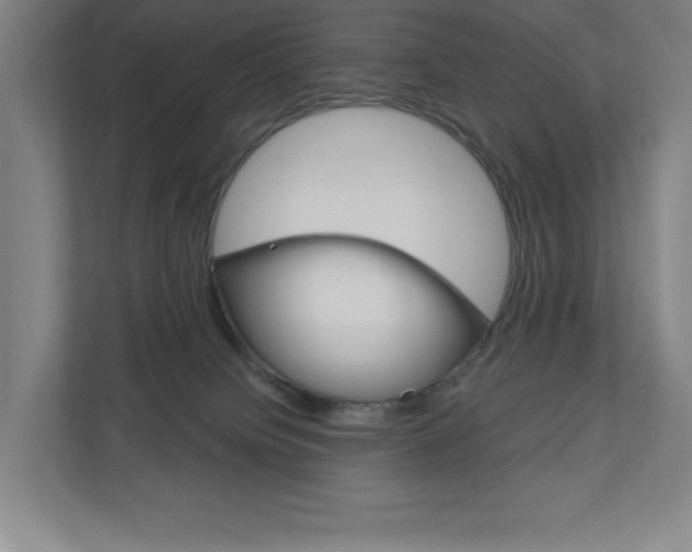 X0000110980084200906191059