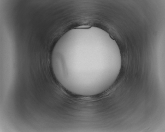 X0000110980085200906191059