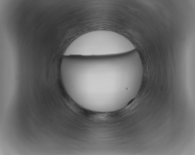 X0000110980086200906191059