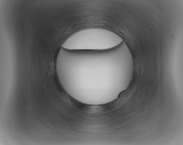 X0000110980087200906191059