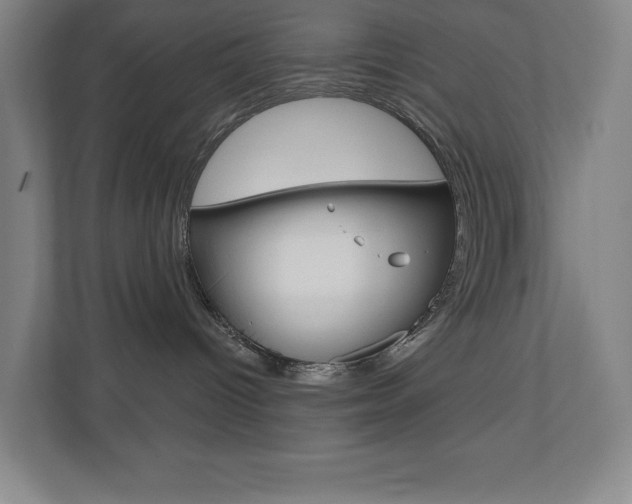 X0000110980096200906191059