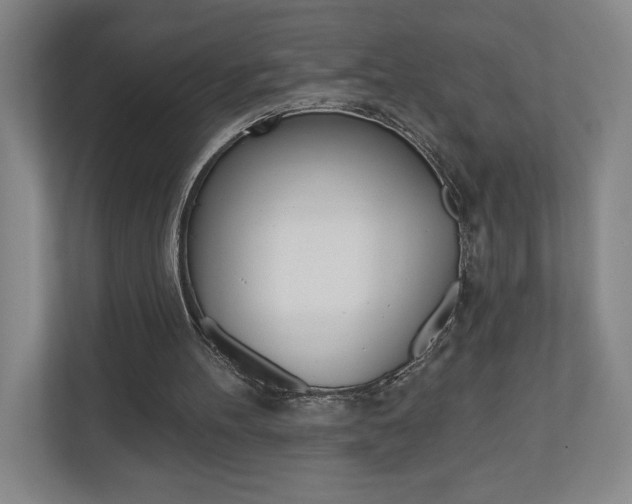 X0000110980100200906191058