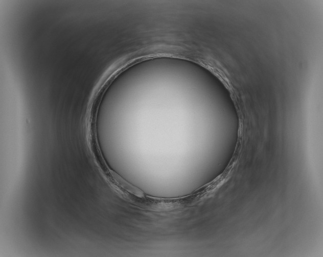 X0000110980101200906191058