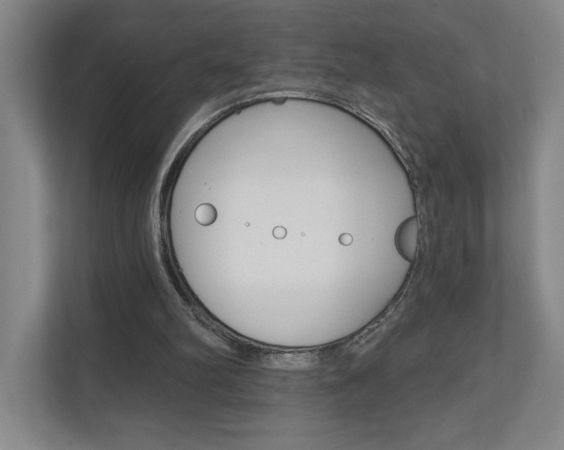 X0000110980102200906191058