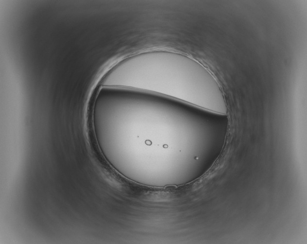 X0000110980104200906191058