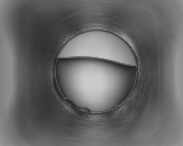 X0000110980105200906191058