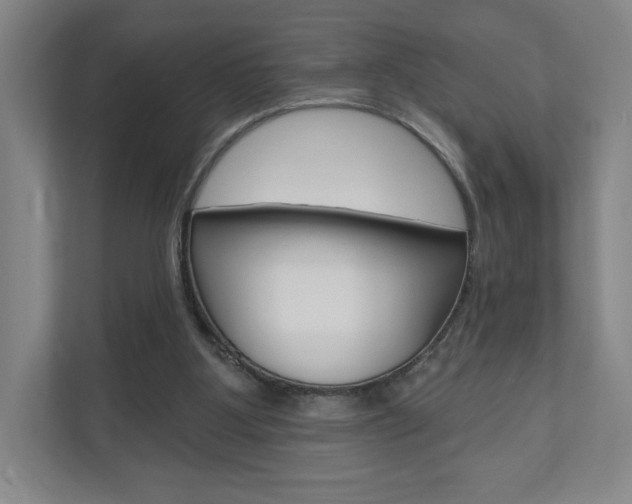 X0000110980107200906191058