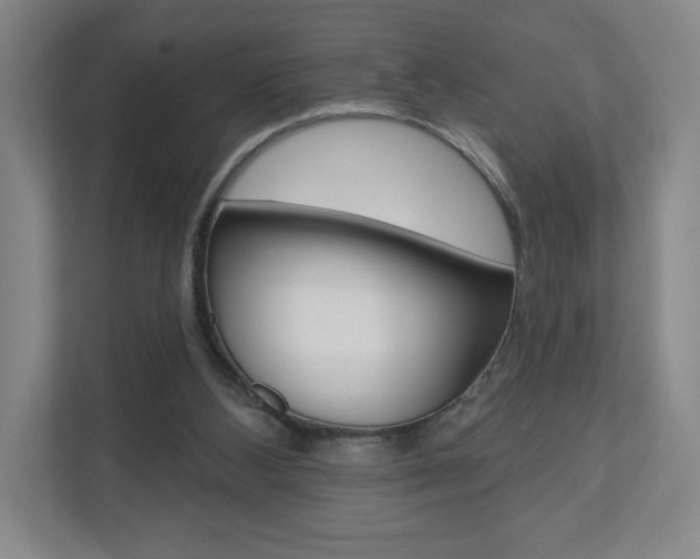 X0000110980108200906191058