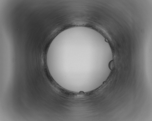 X0000110980114200906191058