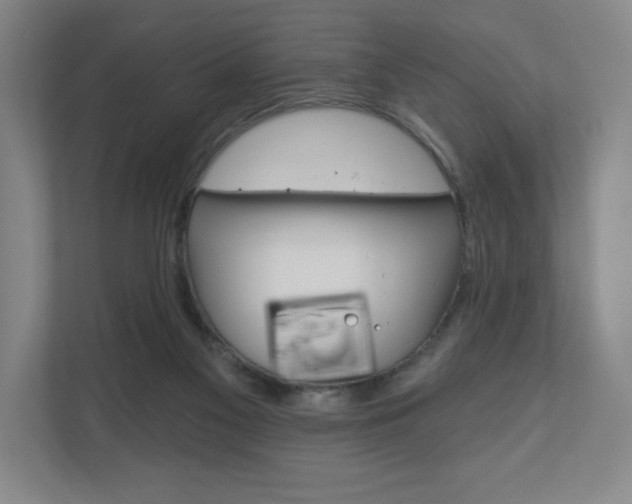 X0000110980117200906191058