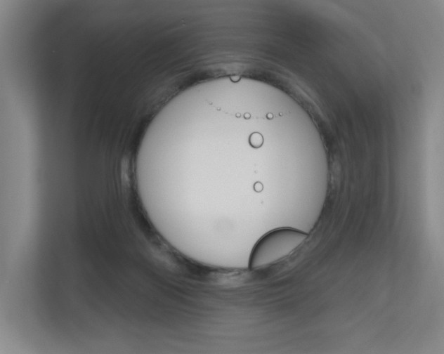 X0000110980122200906191058