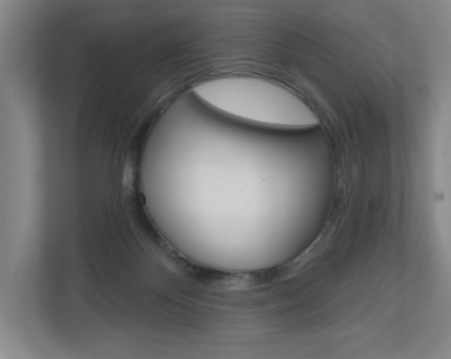 X0000110980124200906191058