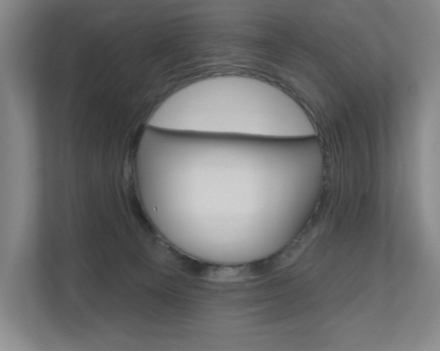 X0000110980129200906191058