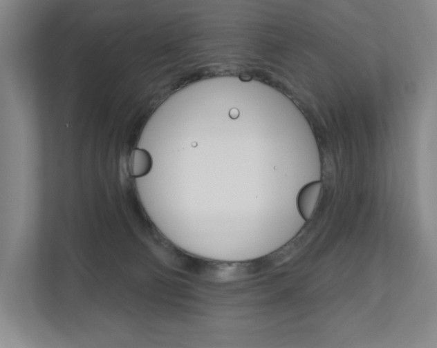 X0000110980130200906191058