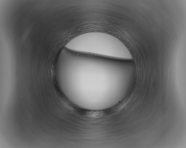 X0000110980135200906191058