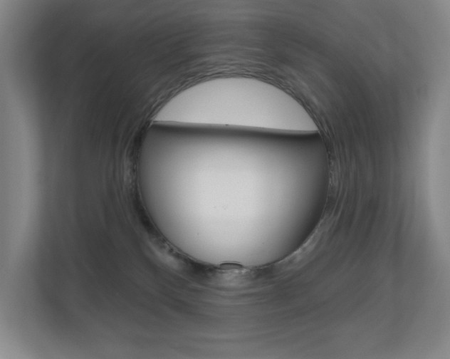 X0000110980136200906191058