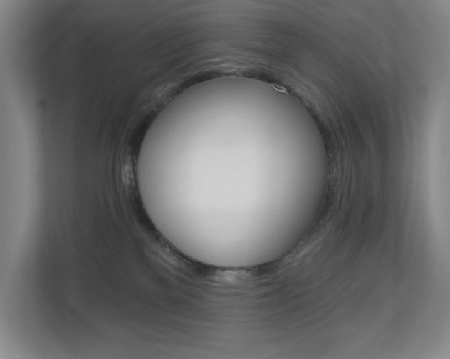 X0000110980137200906191058