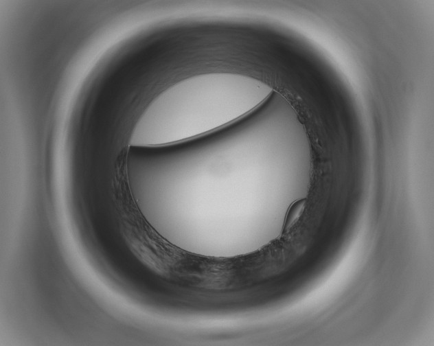 X0000110980143200906191058