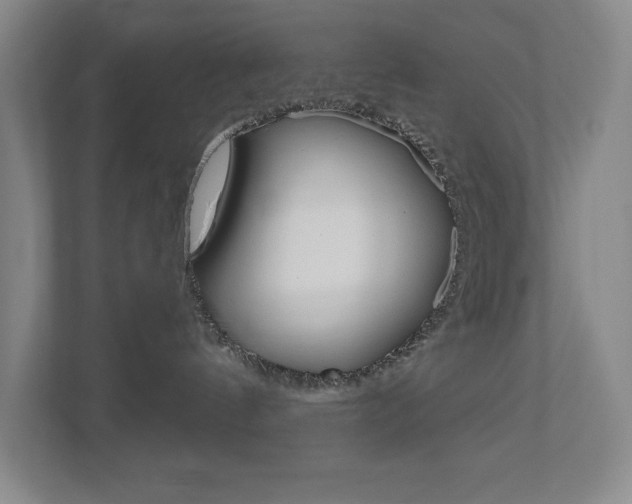 X0000110980144200906191058