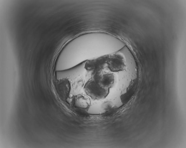 X0000110980145200906191057