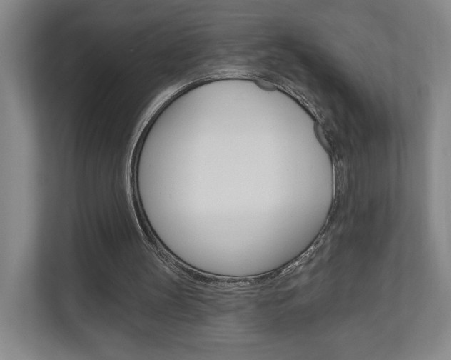 X0000110980147200906191057