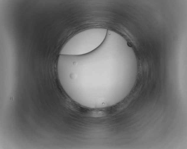 X0000110980169200906191057