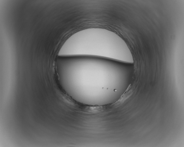 X0000110980188200906191057