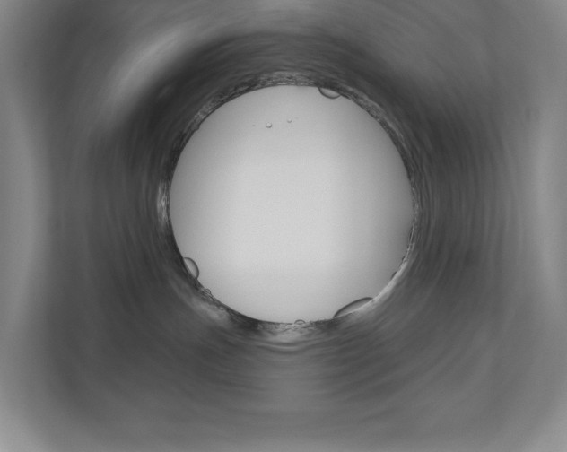 X0000110980191200906191058