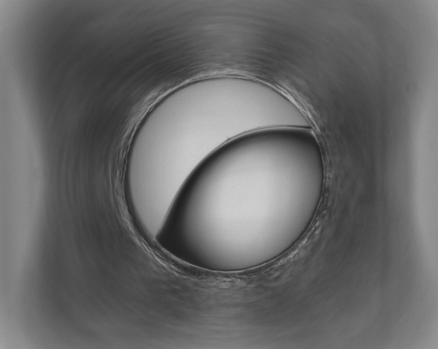 X0000110980193200906191057