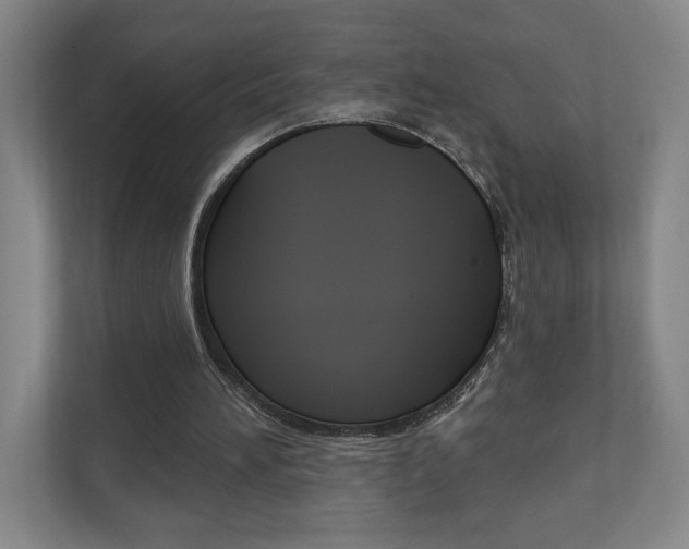 X0000110980196200906191057