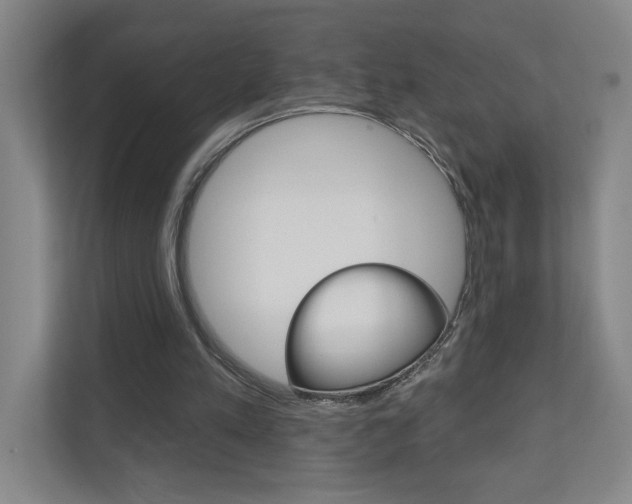 X0000110980197200906191057