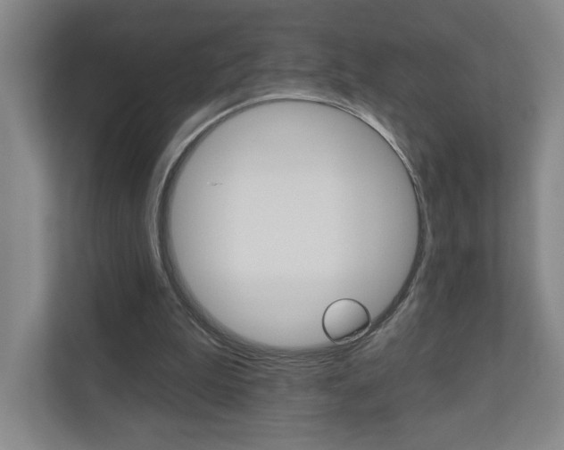 X0000110980199200906191057