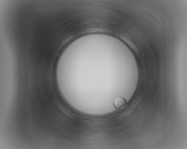 X0000110980207200906191057