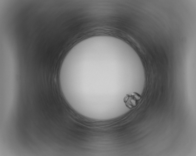 X0000110980217200906191057