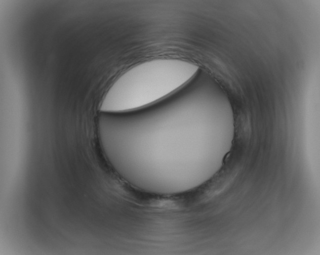 X0000110980224200906191057