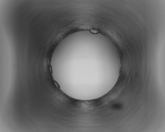 X0000110980229200906191056