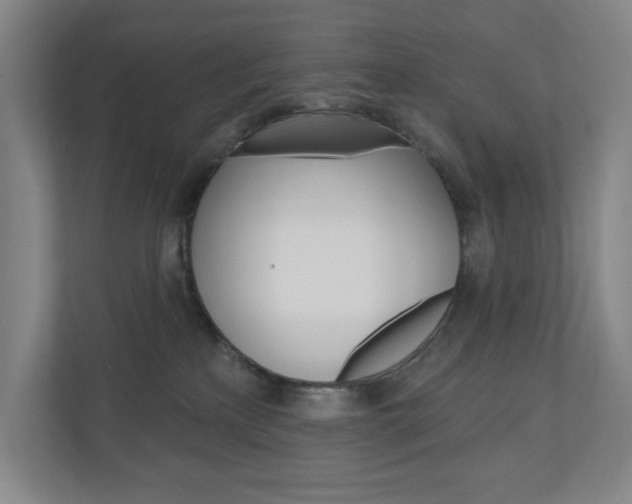 X0000110980233200906191056