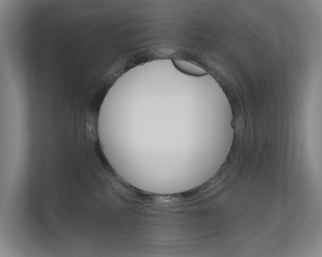 X0000110980234200906191056