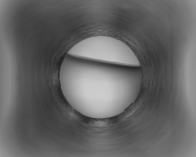 X0000110980236200906191056