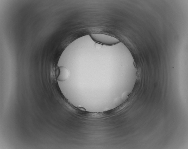 X0000110980238200906191056